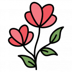 BOUQUETS DE FLEURS