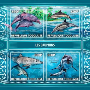 LES DAUPHINS EN SERIE