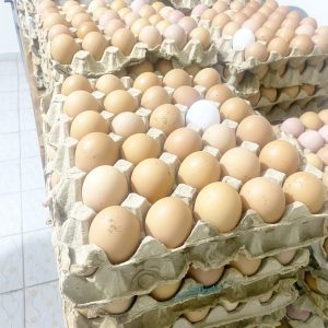 Les Oeufs Chido'S